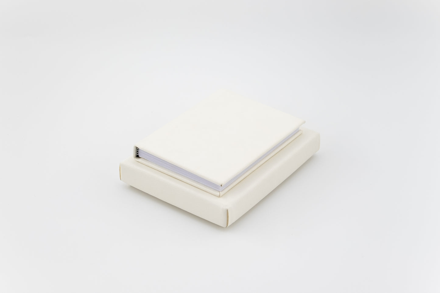 MINI ALBUMS | 5x3.5"